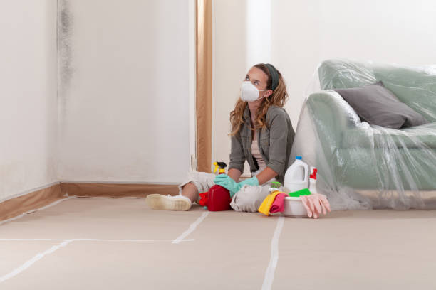 Reliable Mold Remediation contractor in Wharton, TX by 24 Hour Mold Removal